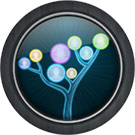 Family Tree for Mac OS X